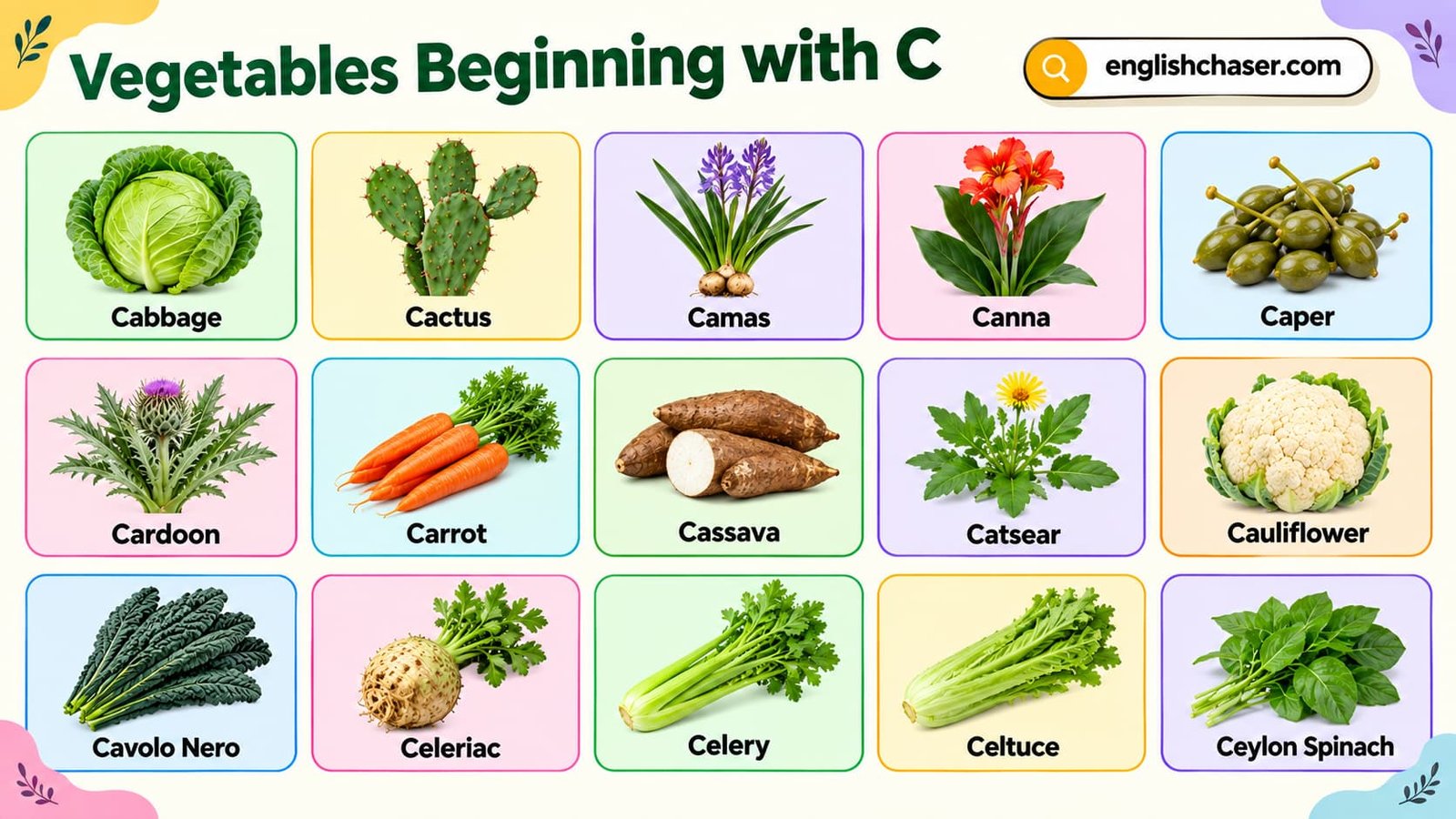70+ Vegetables that begin with C