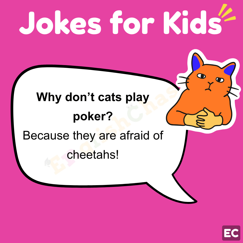 Animal Jokes for Kids