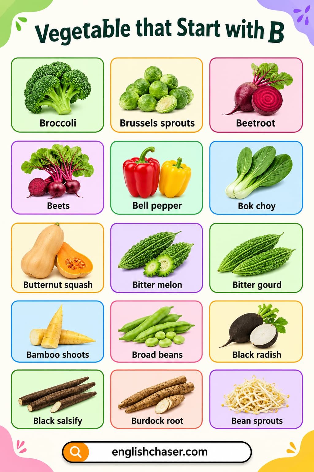 B Vegetables with Pictures and Definitions
