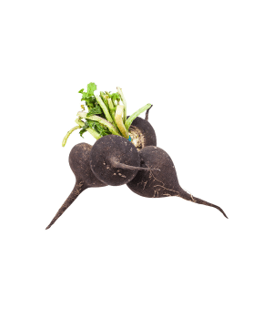 Black radish - vegetables that begins with B