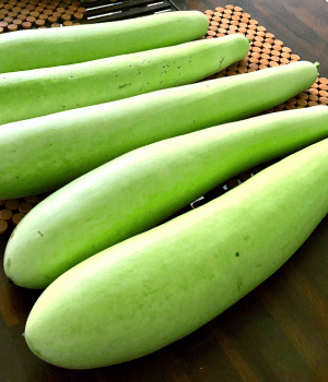 Bottle gourd - vegetable starting with the letter B