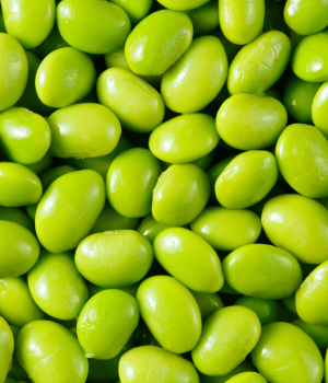 Broad beans - vegetable that begins with B