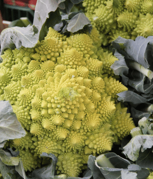 Broccoflower - vegetables starting with the letter B