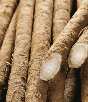 Burdock root - vegetables that begins with B