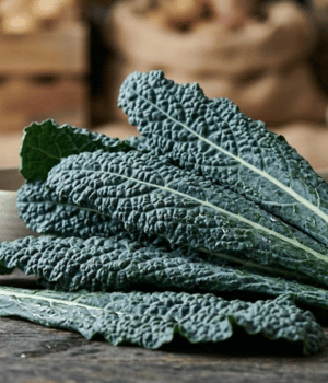 Cavolo Nero