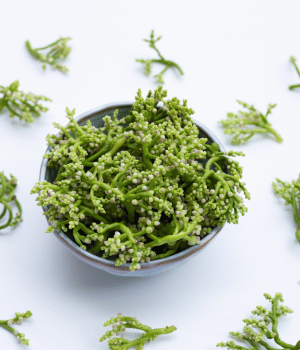 Ceylon Spinach