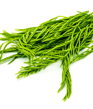 Cha-om - Vegetable Starting with the letter C