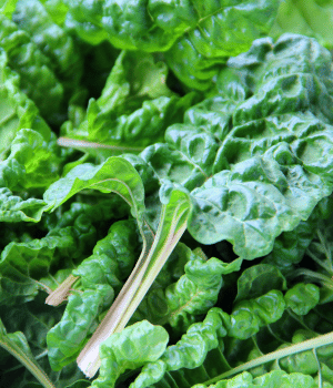 Chard - vegetables beginning with C