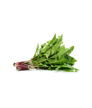 Dandelion Greens - Vegetables that Start with D