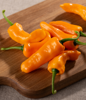 Datil Pepper - Vegetables that Start with D