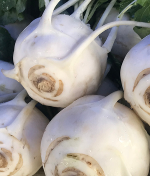 Delicacy White Kohlrabi - Vegetable Beginning with D