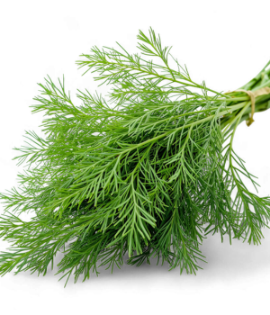 Dill - Vegetable Starting with D