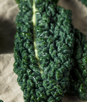 Dinosaur Kale - Vegetable Starting with D