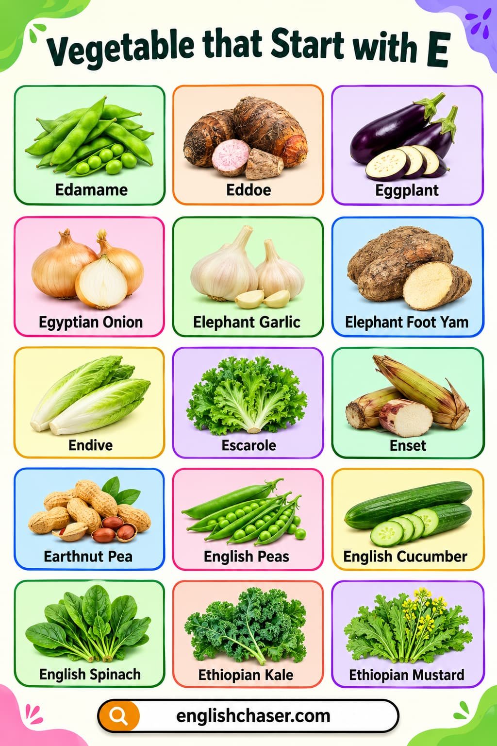 Vegetables That Start With E with their Pictures and Properties