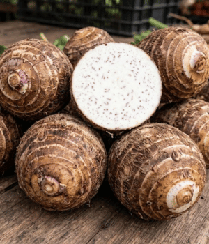 Eddoe- Vegetable Beginning with E