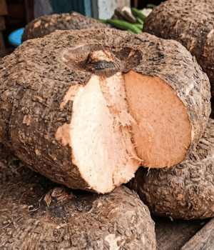 Elephant Foot Yam - vegetable Beginning with E