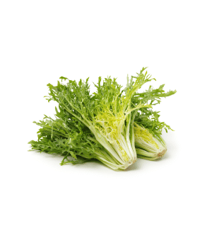 Endive - Vegetables Names that Start with E