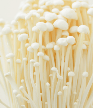 Enoki Mushrooms