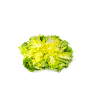 Escarole - vegetable names that start with E