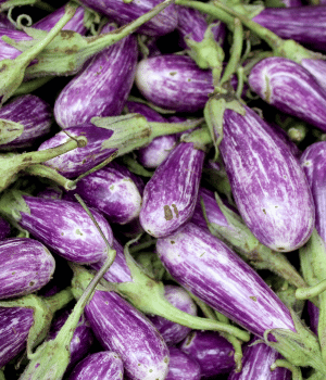 Fairytale Eggplant - Vegetables that Start with F