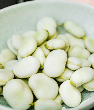 Fava Beans - Vegetables that Start with F