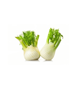 Fennel - Vegetables that Start with F
