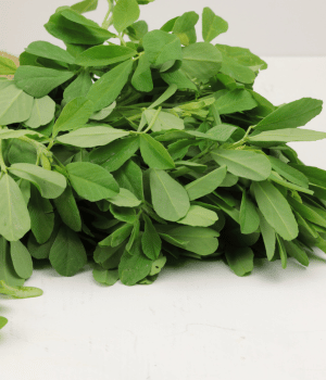 Fenugreek Leaves