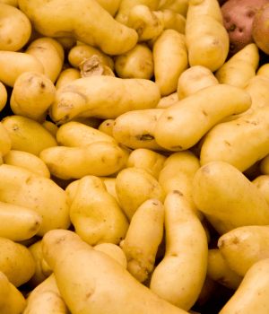 Fingerling Potatoes - Vegetables that Start with F