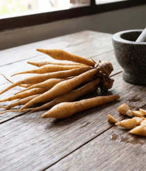 Fingerroot - Vegetables that Start with F
