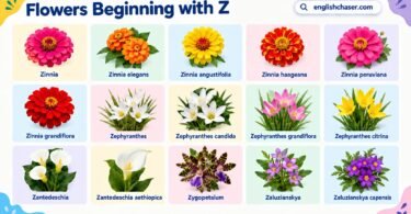 Flowers That Start With Z: 50+ Z Flower Names and Pictures