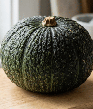 Futsu Squash - Vegetable Began with F