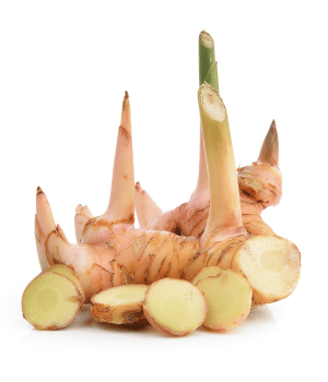 Galangal - Vegetables that Start with G