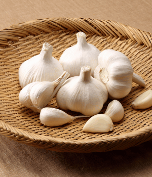 Garlic - Vegetables that Start with G