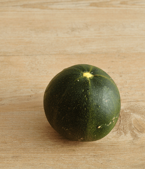 Gem Squash