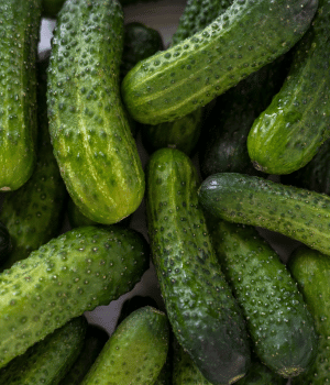 Gherkin