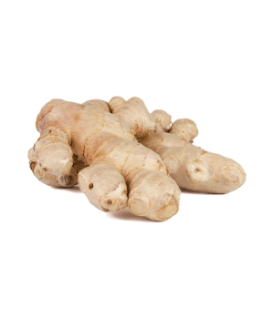 Ginger - Vegetable Began with G