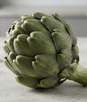 Globe Artichoke - Vegetables that Start with G