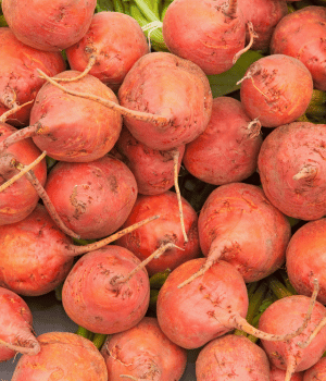 Golden Beet - Vegetables that Start with G