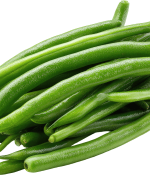 Green Bean - Vegetable Beginning with G