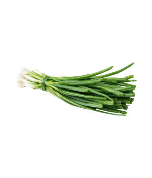 Green Onion - Vegetables