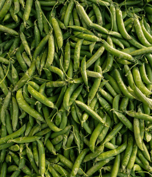 Green Peas - Vegetable Starting with G