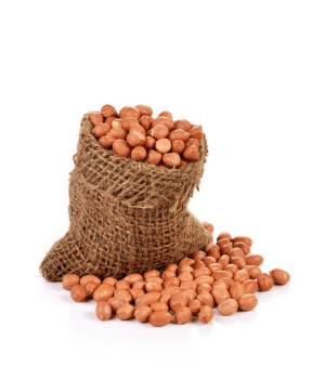 Groundnut - Vegetable Starting with G