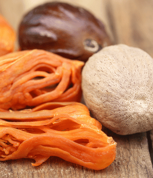 Javitri (Mace) - Spices that start with J