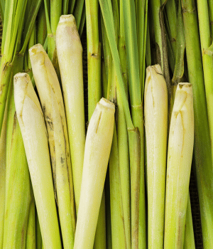Lemongrass