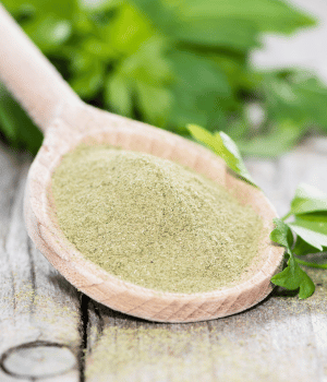 Lovage Seed