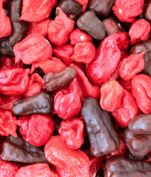 Naga Viper - Spices that Start With N