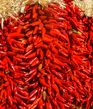 New Maxico - Spices that Start With N