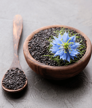 Nigella - Spices that Start With N