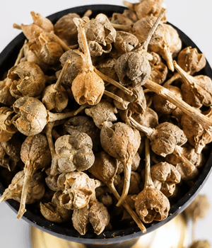 Passion Berry - Spices that start with P