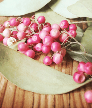Pepperberry - Spices that start with P